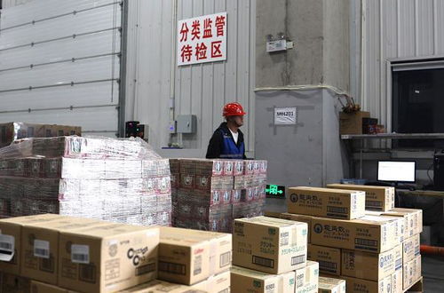 松江外貿經濟活力從何而來 記者實地探訪這三家企業