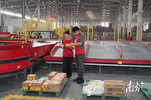 從天河到天山 廣東企業建起南疆首個5g智慧物流港