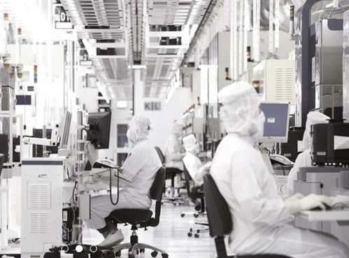 重磅 羅牛山打造快消品及商超連鎖共同配送中心 冷鏈物流空調食品倉4 5號庫招商中