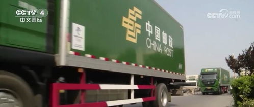 物流數據釋放積極信號，流動活力逐步恢復