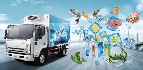 技術賦能冷鏈物流 優化績效與應對市場趨勢