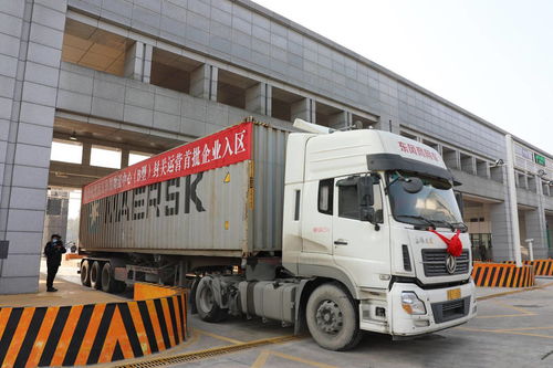 填補川東北地區保稅物流中心空白，南充保稅物流中心B型今日封關運營